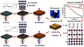 Graphical abstract: In situ growth of a 2D assisted passivation layer enabling high-performance and stable 2D/3D stacked perovskite photodetectors for visible light communication applications