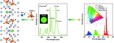 Graphical abstract: High-performance ultra-narrow-band green-emitting phosphor LaMgAl11O19:Mn2+ for wide color-gamut WLED backlight displays