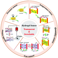 Graphical abstract: Transparent stretchable hydrogel sensors: materials, design and applications