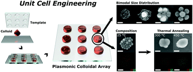 Graphical abstract: Pre- and post-assembly modifications of colloidal plasmonic arrays: the effect of size distribution, composition and annealing