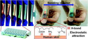 Graphical abstract: A biocompatible, self-adhesive, and stretchable photonic crystal sensor for underwater motion detection