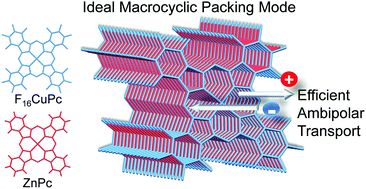 Graphical abstract: An organic cocrystal based on phthalocyanine with ideal packing mode towards high-performance ambipolar property