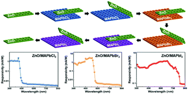 Graphical abstract: Reconfigurable self-powered imaging photodetectors by reassembling and disassembling ZnO/perovskite heterojunctions