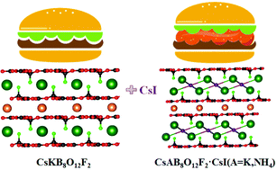 Graphical abstract: CsAB8O12F2·CsI (A = K+, NH4+): design of two fluorooxoborates with benign layered structures via a salt-inclusion strategy