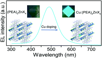 Graphical abstract: Cu substitution boosts self-trapped exciton emission in zinc-based metal halides for sky-blue light-emitting diodes