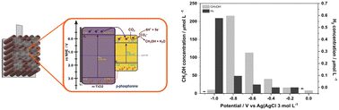Graphical abstract: Modulating the photoelectrocatalytic conversion of CO2 to methanol and/or H2O to hydrogen at a phosphorene modified Ti/TiO2 electrode