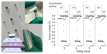 Graphical abstract: Controlled poling of a fully printed piezoelectric PVDF-TrFE device as a multifunctional platform with inkjet-printed silver electrodes