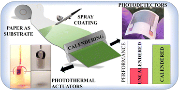 Graphical abstract: Solution-processed 2D materials on paper substrates for photodetection and photomechanical applications