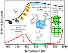 Graphical abstract: Origin of the ultra-wide temperature dielectric stability and dynamic behavior of nanoregions in 0.6Bi(Mg0.5Ti0.5)O3–0.4Ba0.8Ca0.2(Ti0.875Zr0.125)O3
