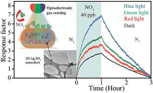 Graphical abstract: Ultrathin 2D silver sulphate nanosheets for visible-light-driven NO2 sensing at room temperature