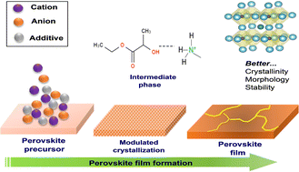 Graphical abstract: Efficient and hysteresis-free mixed-dimensional 2D/3D perovskite solar cells using ethyl lactate as a green additive to perovskite precursor solutions