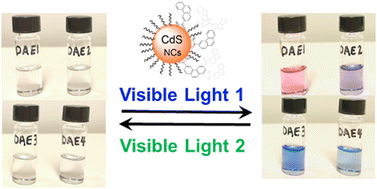 Graphical abstract: A general approach for all-visible-light switching of diarylethenes through triplet sensitization using semiconducting nanocrystals