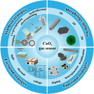 Graphical abstract: Copper-based metal oxides for chemiresistive gas sensors