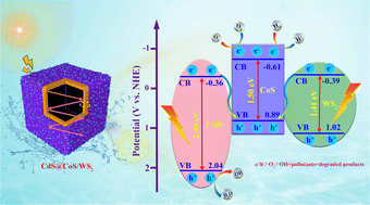 Graphical abstract: Hollow cubic CdS@CoS/WS2 dual S-scheme heterojunction superstructure toward optimized photothermal–photocatalytic performance