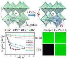 Graphical abstract: Enhanced photothermal stability of in situ grown FAPbBr3 nanocrystals in polyvinylidene fluoride by incorporation of Cd2+ ions