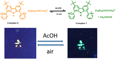 Graphical abstract: Highly specific fluorescent probes toward acetic acid via structural transformation of zinc complexes