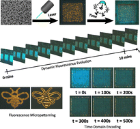 Graphical abstract: Multi-dimensional dynamic fluorescence readout from laser engineered In2O3 nanowire micropatterns