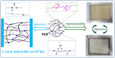 Graphical abstract: Reprocessable polyurethane elastomers based on reversible ketal exchange: dielectric properties and water resistance