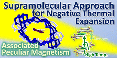 Graphical abstract: Uniaxial negative thermal expansion induced by molecular rotation in a one-dimensional supramolecular assembly with associated peculiar magnetic behavior