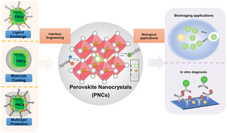 Graphical abstract: Interface engineering of perovskite nanocrystals: challenges and opportunities for biological imaging and detection