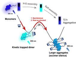 Graphical abstract: A time-resolved and visualized host–guest self-assembly behavior controlled through kinetic trapping