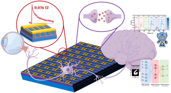 Graphical abstract: Ultralow-power consumption photonic synapse transistors based on organic array films fabricated using a particular prepatterned-guided crystallizing strategy