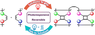 Graphical abstract: Construction of gel networks via [2+2] photocycloaddition