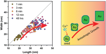 Graphical abstract: Copper assisted symmetry and size control of gold nanobars