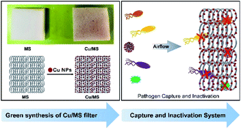Graphical abstract: A capture and inactivation system against pathogens in indoor air using copper nanoparticle decorated melamine sponge hybrid air filters