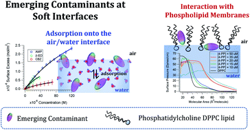 Graphical abstract: Emerging environmental contaminants at the air/aqueous and biological soft interfaces