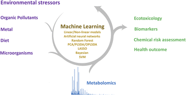 Graphical abstract: Machine learning for screening active metabolites with metabolomics in environmental science