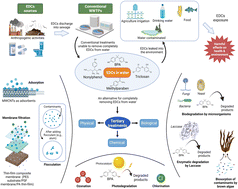 Graphical abstract: Environmental persistence, detection, and mitigation of endocrine disrupting contaminants in wastewater treatment plants – a review with a focus on tertiary treatment technologies