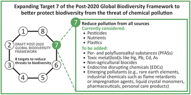 Graphical abstract: Policy options to account for multiple chemical pollutants threatening biodiversity