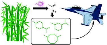 Graphical abstract: Thermal cyclodimerization of isoprene for the production of high-performance sustainable aviation fuel