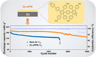 Graphical abstract: Enhanced lifetime of the zinc–iodine batteries using hydrocarbon cation-exchange polymer-protected zinc anodes