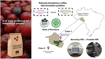 Graphical abstract: Discrimination of Robusta Amazônico coffee farmed by indigenous and non-indigenous people in Amazon: comparing benchtop and portable NIR using ComDim and duplex