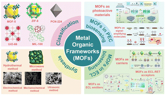 Graphical abstract: Recent advances in metal–organic framework-based photoelectrochemical and electrochemiluminescence biosensors