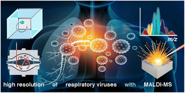 Graphical abstract: High resolution mass spectrometry of respiratory viruses: beyond MALDI-ToF instruments for next generation viral typing, subtyping, variant and sub-variant identification