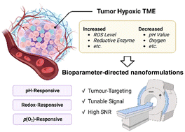 Graphical abstract: Bioparameter-directed nanoformulations as MRI CAs enable the specific visualization of hypoxic tumour