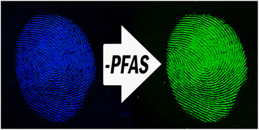 Graphical abstract: Solvent-free strategies for developing latent fingermarks on paper: a review