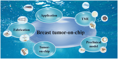 Graphical abstract: Breast tumor-on-chip: from the tumor microenvironment to medical applications