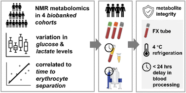 Graphical abstract: Sodium fluoride preserves blood metabolite integrity for biomarker discovery in large-scale, multi-site metabolomics investigations