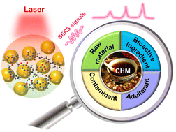 Graphical abstract: Surface-enhanced Raman spectroscopy as a powerful method for the analysis of Chinese herbal medicines