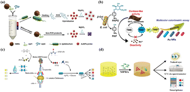 Graphical abstract: Nanomaterial-based biosensors for the detection of foodborne bacteria: a review