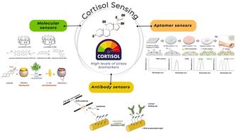 Graphical abstract: Cortisol sensing by optical sensors