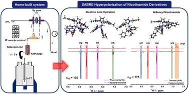 Graphical abstract: SABRE hyperpolarization of nicotinamide derivatives and their molecular dynamics properties