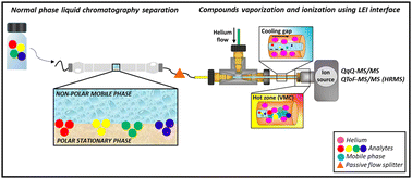 Graphical abstract: Liquid electron ionization-mass spectrometry as a novel strategy for integrating normal-phase liquid chromatography with low and high-resolution mass spectrometry