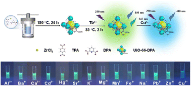 Graphical abstract: Ratiometric detection of Cu2+ in water and drinks using Tb(iii)-functionalized UiO-66-type metal–organic frameworks