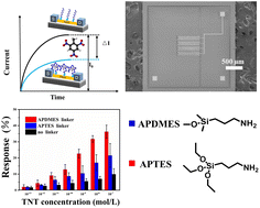 Graphical abstract: A highly sensitive and selective detection of 2,4,6-trinitrotoluene (TNT) using a peptide-functionalized silicon nanowire array sensor