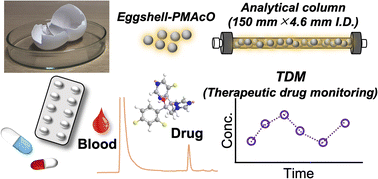 Graphical abstract: Evaluation of separation performance for eggshell-based reversed-phase HPLC columns by controlling particle size and application in quantitative therapeutic drug monitoring
